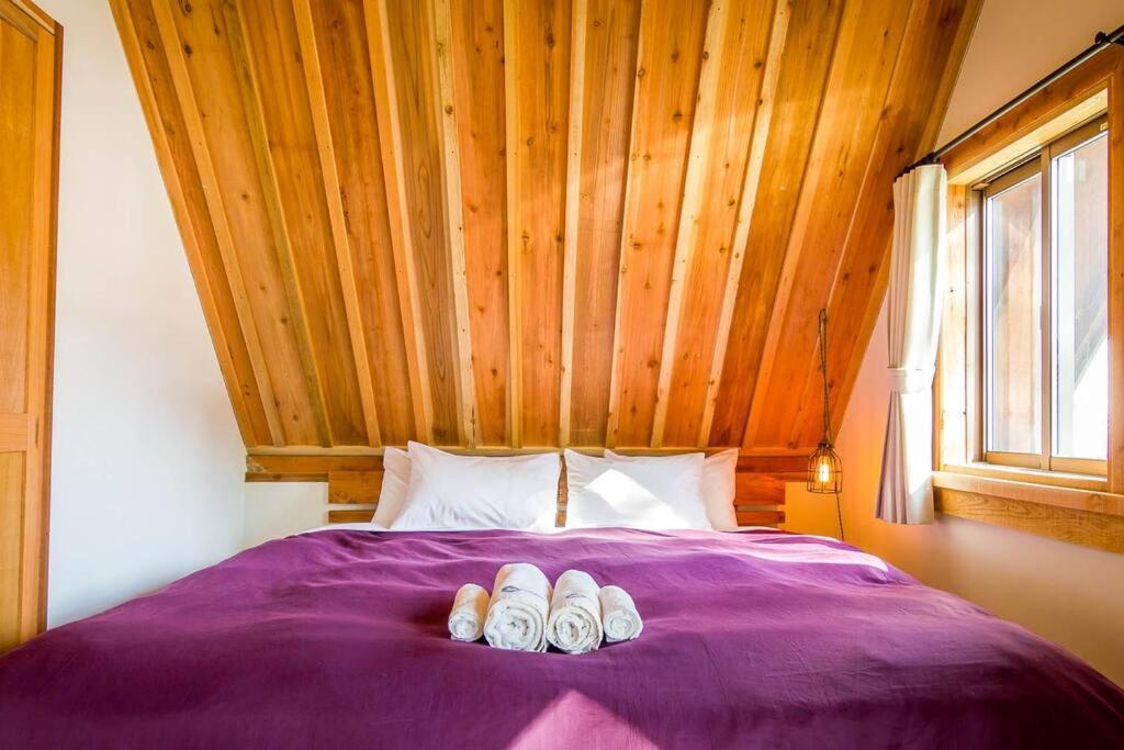 Misorano Chalet Hakuba Ngoại thất bức ảnh